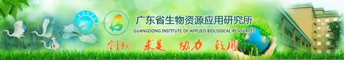 banner_20160615.jpg
