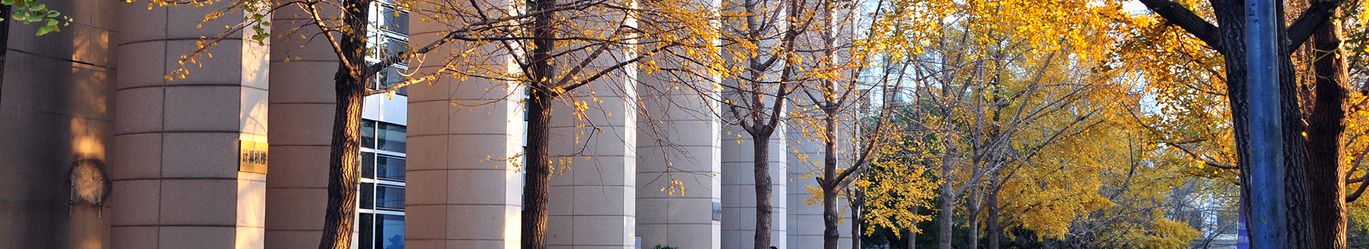 banner01.jpg
